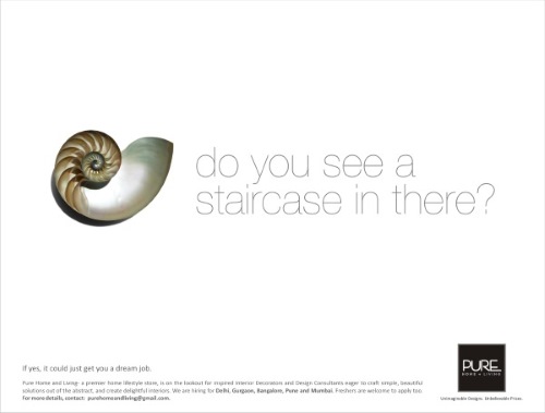 pure-home-and-living-recruitment-ad