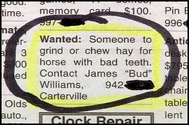 chew hay for horse funny job ads