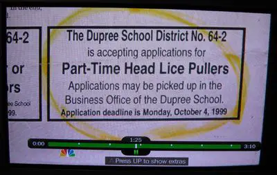 head lice puller funny job ads