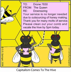 Bee layoffs at the hive