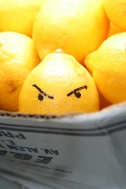 Rss and Mailing List Updates - Evil lemon