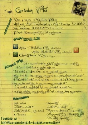 Manolache Tmillian handwritten resume