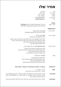 amir shalev hebrew resume