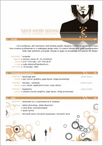 Tudor Deleanu beautiful resume
