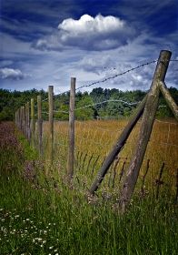 Barbed Posts