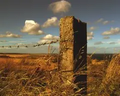 Rusty field post