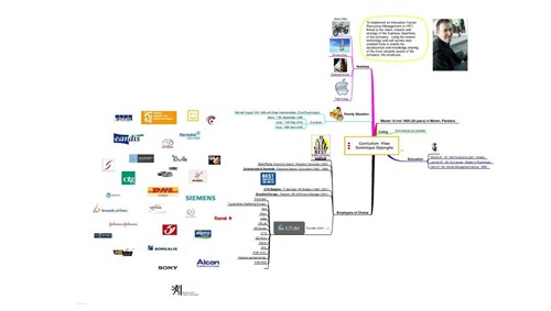 dominique dejonghe cv mindmap