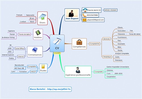 marco bertolini cv mindmap