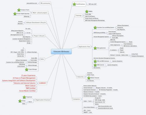 vincent birlouez cv mindmap