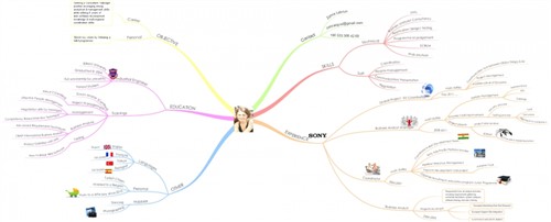 zehra oguz lebrun cv mindmap