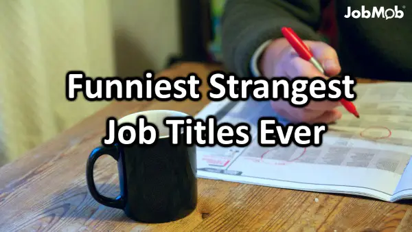 Funniest Strangest Job Titles Ever