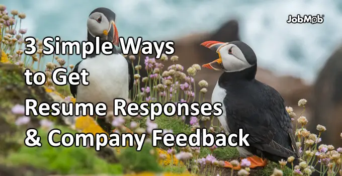 Read more about the article 📣 3 Simple Ways to Get Resume Responses & Company Feedback