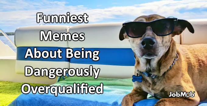 Read more about the article 😆 Funniest Memes About Being Dangerously Overqualified