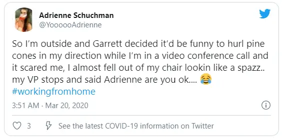 So I'm outside and Garrett decided it'd be funny to hurl pine cones in my direction while i'm in a video conference call and it scared me, I almost fell out of my chair lookin like a spazz.. my VP stops and said Adrienne are you ok... 