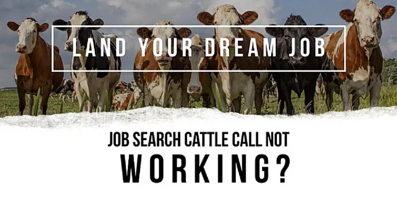 The Dream-Job Search Makeover