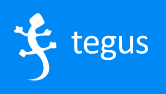 tegus logo