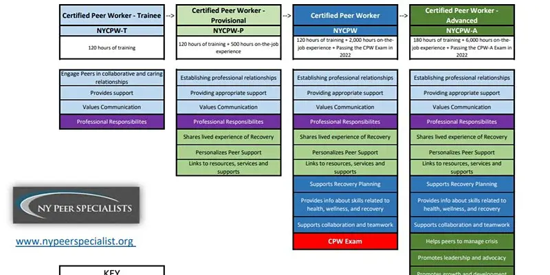 Education and Career Pathways for Peers